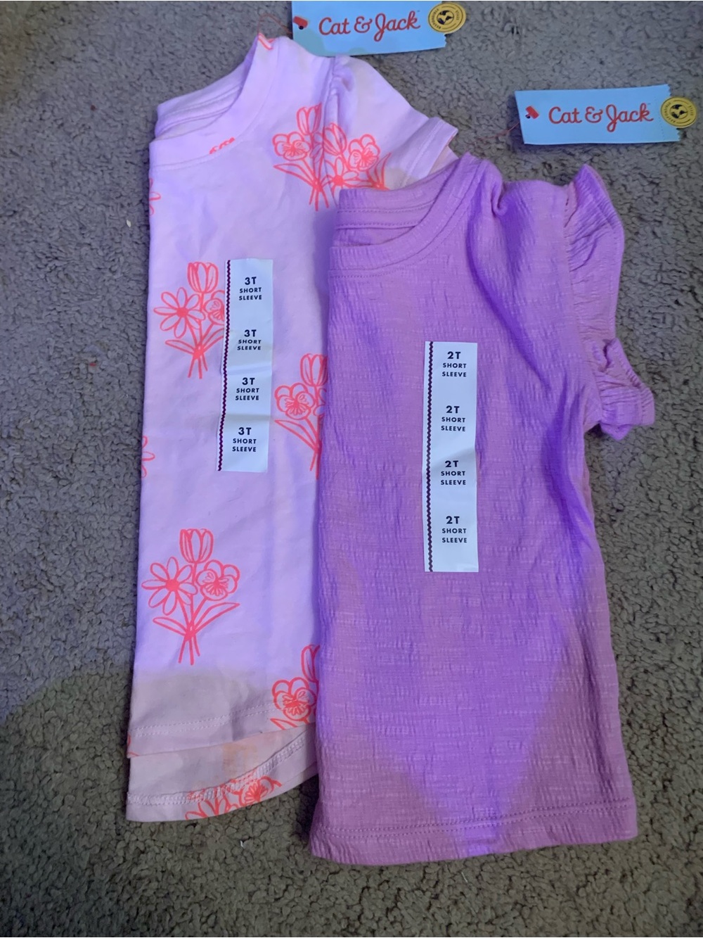 Cat & Jack Girls T-shirt Bundle -2T and 3T